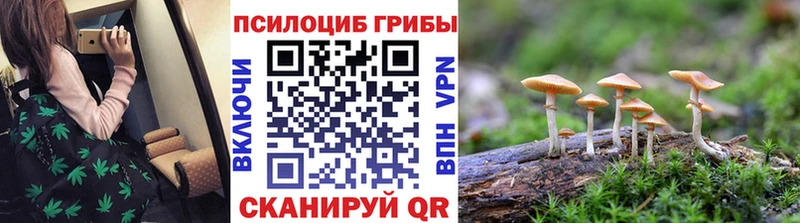Псилоцибиновые грибы Psilocybe мега ссылки Гаврилов Посад
